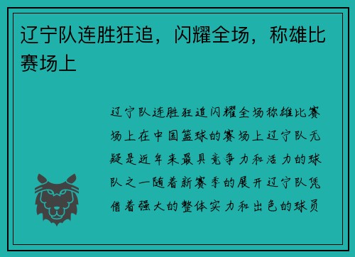 辽宁队连胜狂追，闪耀全场，称雄比赛场上